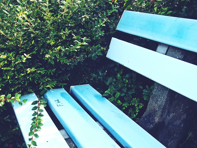 半自动越位技术 英足总杯3月启动.