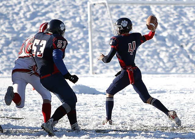 重要原因 重要原因