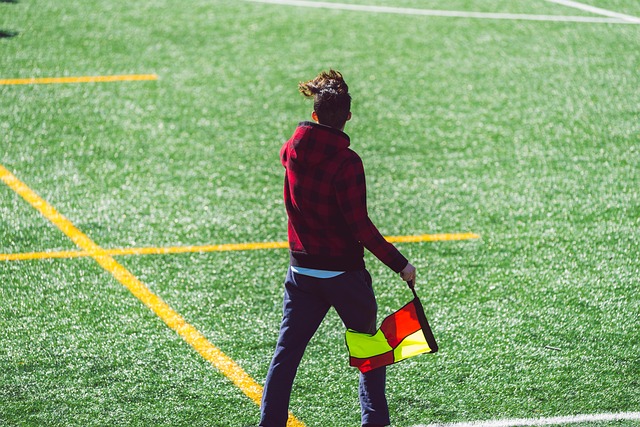 總的來看 總的來看